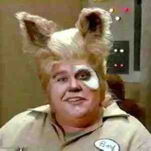 image de profil utilisateur