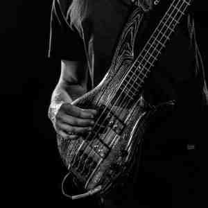 image de profil utilisateur