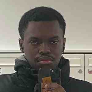 image de profil utilisateur