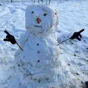 image de profil utilisateur