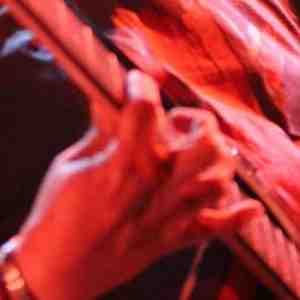 image de profil utilisateur